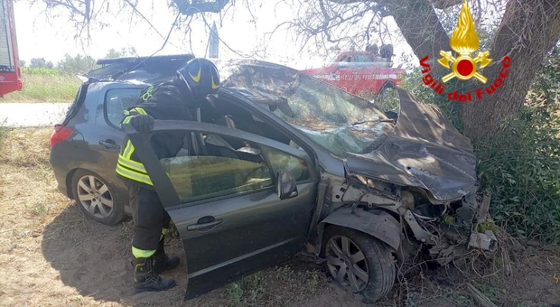 Con l'auto contro un albero di ulivo: incidente a Mesagne, un uomo grave in ospedale