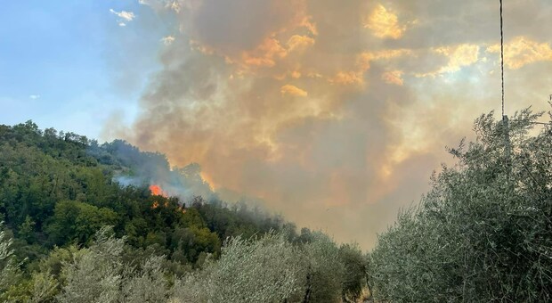 Montecchio di nuovo in fiamme. Questa volta tocca ai boschi nella zona di Melezzole