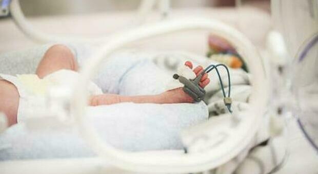 Virus sinciziale, bimbo di 11 mesi muore a La Spezia. È la stessa malattia che colpì la figlia dei Ferragnez