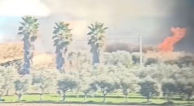 Il canneto in fiamme Il canneto in fiamme