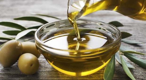 Tumori, l'olio extravergine d'oliva aiuta a prevenire la malattia Tumori, l'olio extravergine d'oliva aiuta a prevenire la malattia