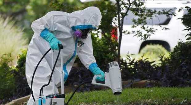Ebola, l'allarme dell'Ecdc: «Virus trasmissibile sessualmente anche dopo la guarigione»