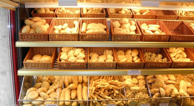 Ucraina, l'allarme di Coldiretti: «Al porto di Bari non arrivano più navi di grano per pane e dolci. A rischio anche l'export pugliese»