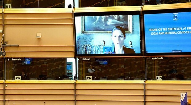 Ue: Raggi, puntare alla riforestazione urbana Ue: Raggi, puntare alla riforestazione urbana