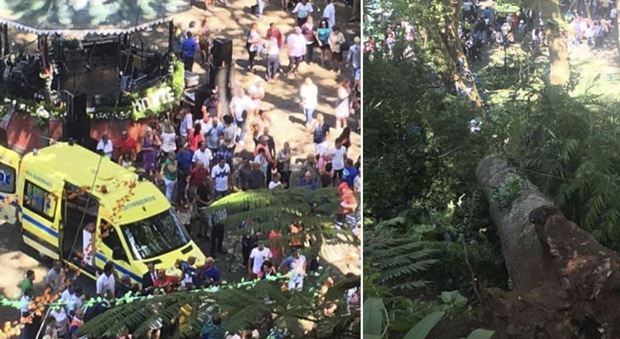 Portogallo, crolla un albero durante processione a Madeira: 11 morti, 35 feriti
