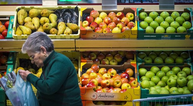 Prezzi, stangata da 1.500 euro a famiglia. Terni settima in Italia per i rincari alimentari: +11,5%. Perugia stangata per i prodotti energetici: +65,9% Prezzi, stangata da 1.500 euro a famiglia. Terni settima in Italia per i rincari alimentari: +11,5%. Perugia stangata per i prodotti energetici: +65,9%
