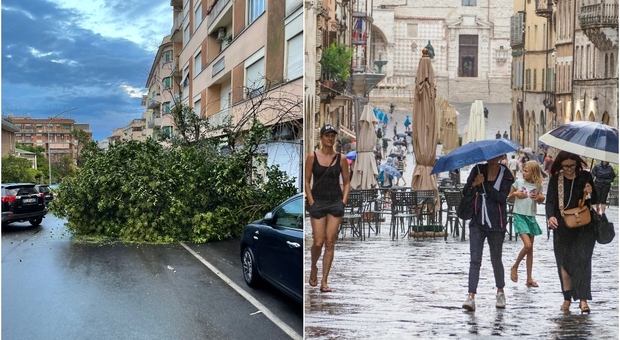 Maltempo Roma, violento temporale nella notte: alberi caduti a Monteverde