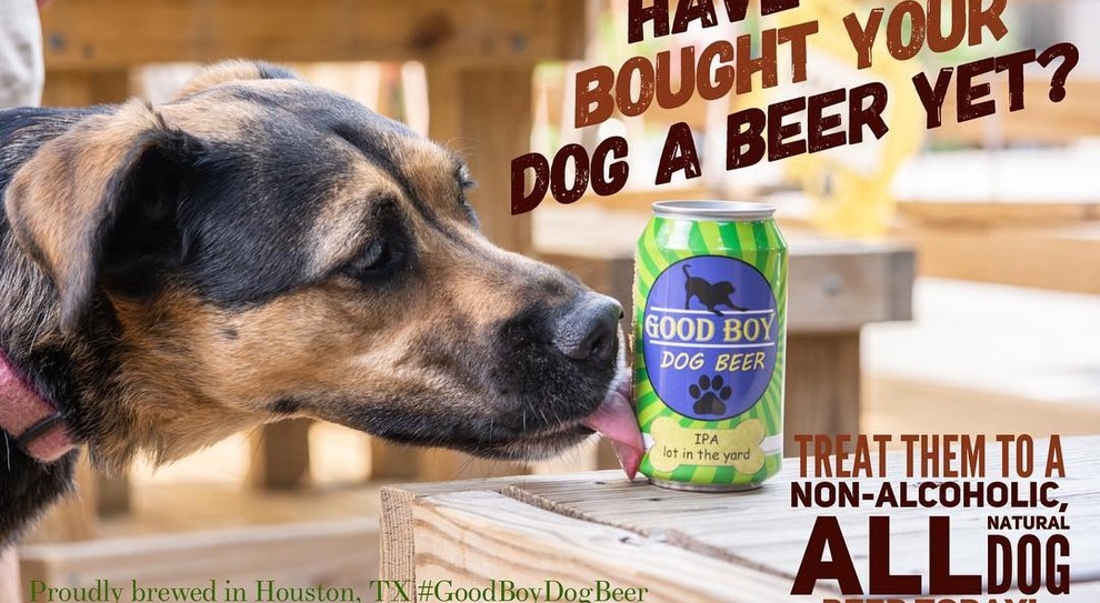 cascade Privilege Alice Arriva la birra per cani: li aiuta a digerire grazie alla curcuma