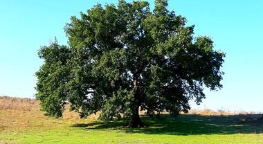 L'Area Naturalistica di Vallelunga, paradiso di flora e fauna per grandi e piccini