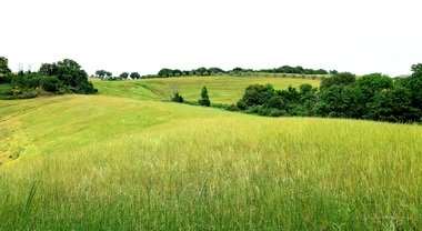 Lazio, ritorno alla natura: dalla Riserva dell'Insugherata al Parco di Veio