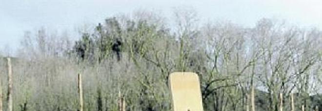 Piantati cinque nuovi ulivi nel Giardino dei Giusti