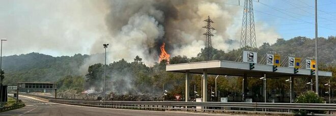 Incendi, l Italia brucia più di tutti: in un mese 33mila roghi. Allarme morti per il caldo