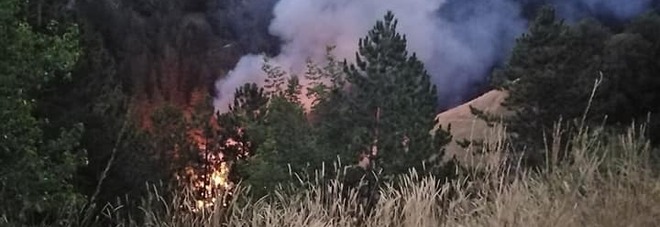 Incendio in un capannone agricolo: strage di galline Incendio in un capannone agricolo: strage di galline