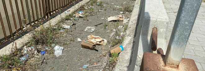 Giungla al Mercatello tra rifiuti, topi e blatte «Parco, allarme igiene»