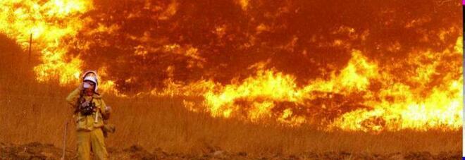 Adolescente trovato morto con il suo cane in braccio dopo aver tentato di sfuggire a un incendio in Oregon Adolescente trovato morto con il suo cane in braccio dopo aver tentato di sfuggire a un incendio in Oregon