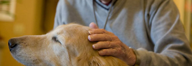 Pet terapy: un nuovo scenario della sanità pubblica veterinaria