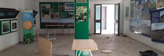 Raid nella Foresta Regionale di Cuma, vandalizzata la stazione della linea Circumflegrea Raid nella Foresta Regionale di Cuma, vandalizzata la stazione della linea Circumflegrea