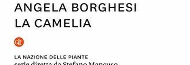 La camelia, Angela Borghesi racconta il 'fiore d'autore' da Proust a Coco Chanel