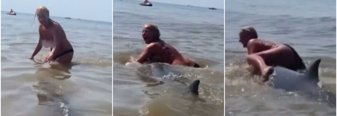 Donna in topless prova a cavalcare un delfino in mare: la scena folle ripresa in Olanda