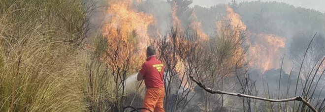 Vasto incendio ad Agropoli, paura per alcune abitazioni