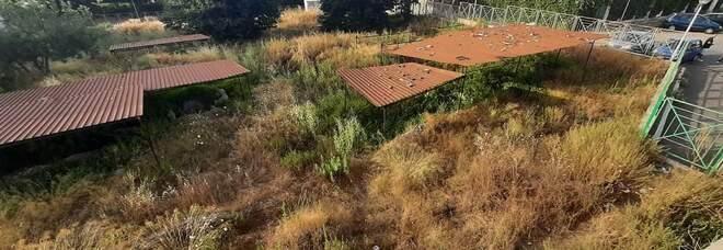 Pozzuoli, la "villa di Annibale" in abbandono, tra rifiuti e malerba
