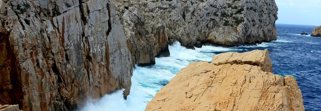 La Riserva delle Prigionette vicino ad Alghero: tra grifoni, daini e cavalli allo stato brado
