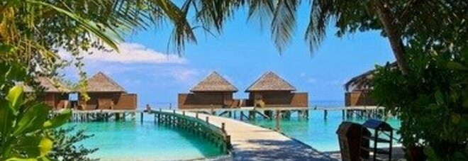 Maldive, resort cerca "venditore di libri a piedi nudi" per un anno: potrà soggiornare gratis in una suite da 36mila dollari a notte