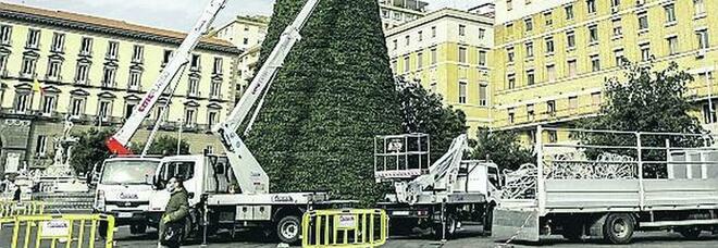 Natale a Napoli, maxi albero in piazza Municipio: «Le festività scacciano la crisi»