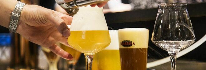 Anche un solo drink al giorno può ridurre la capacità del cervello: con una birra l'intelletto invecchia di 2 anni