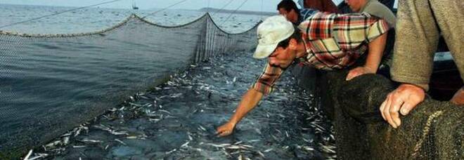 Fermo pesca nel mare Adriatico, poi toccherà al Tirreno: stop al pesce fresco a tavola