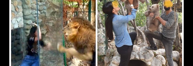 Alcune attrazioni dello zoo libanese (immag pubbl su Fb da Animal City Lebanon)