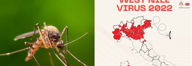 West Nile in Italia, 97 casi e 7 morti: «Sostenuta circolazione virus soprattutto al nord» Ecco le regioni più a rischio