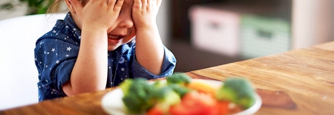 Dieta vegetariana o vegana per 100 mila bambini in Italia, l'allarme dei pediatri: «Possibili carenze, serve fare l'esame del sangue»