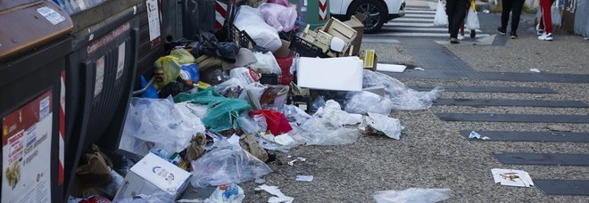 Rifiuti Roma, Ricciardi: «Rischio emergenza sanitaria, il governo intervenga subito»
