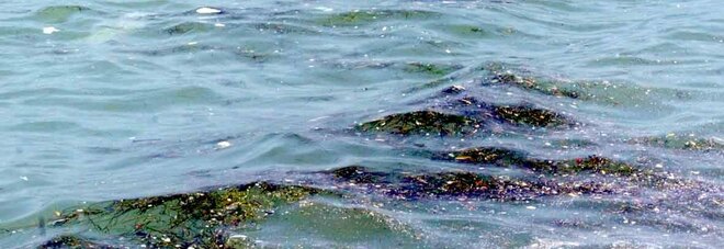 Salerno, assalto alle spiagge, bagnanti infuriati: «Mare sporco e rifiuti»