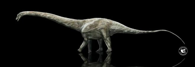 Nella foto, ricostruzione di un Supersauro (credit: Sean Fox/Fossil Crates)