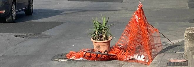 Napoli, dissesto non riparato e qualcuno ci mette una pianta: pericolo in via Argine