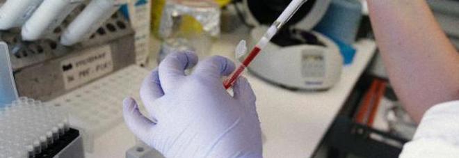 Allarme febbre Dengue, un caso a Prato: il sindaco ordina una disinfestazione
