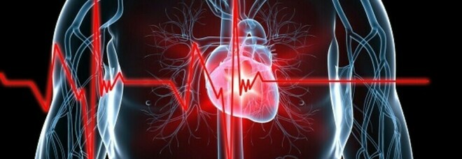 Salute, scoperto il primo atlante del cuore umano: una mappa per studiare e curare le malattie cardiache