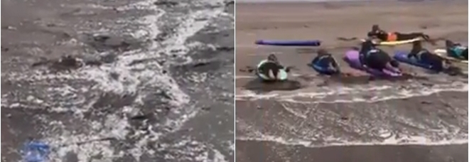 Tenerife, spiaggia invasa dalla plastica: la disperazione degli attivisti Tenerife, spiaggia invasa dalla plastica: la disperazione degli attivisti