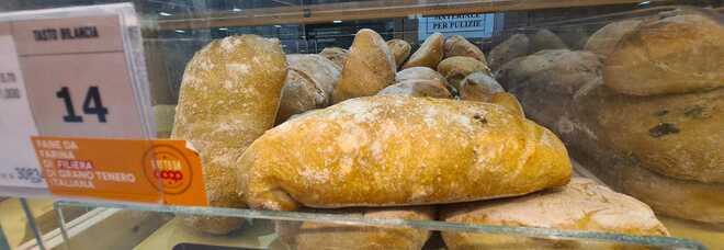 Pane, prezzi da record in Ue: mai cosi caro, +18% in un anno. Il rapporto Eurostat