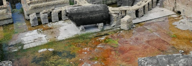 Pozzuoli, melma nel tempio di Serapide.