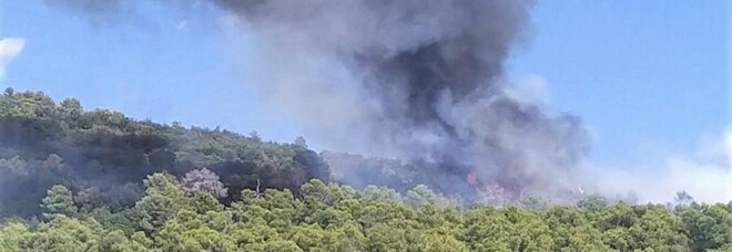 Poggio di Otricoli, il fuoco torna a far paura. Incendio boschivo, servono i mezzi aerei