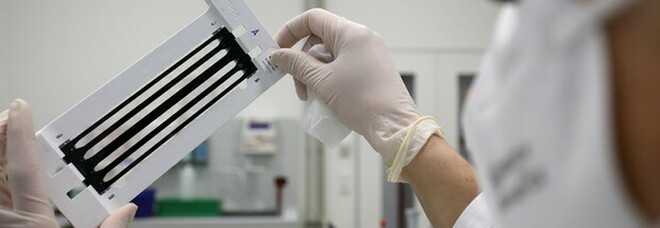 Tumori, team italiano scopre nuovo meccanismo di divisione delle cellule: nuove armi contro il cancro