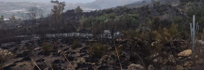 Incendia rifiuti e distrugge gli ulivi, denunciato 87enne nel Salernitano