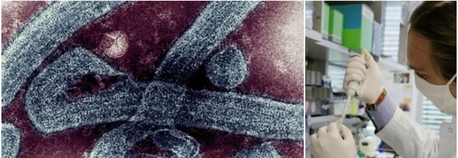 Marburg, il virus uccide due persone in Ghana: in 98 in quarantena come casi «sospetti di contatto»
