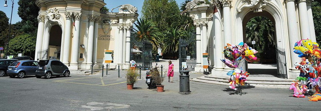 Roma, il Bioparco vieta l'ingresso a una famiglia sarda. Il presidente: «C'era il timore dei contagi, ma abbiamo chiesto scusa»
