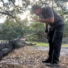 Attaccato da un alligatore che gli stacca un braccio: lui riesce a salvarsi. Aveva già rischiato la vita nel 2013