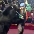 Russia, orso si ribella al suo domatore: terrore in un circo