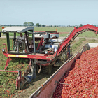 Pomodori, volano i prezzi: passate e pelati costeranno il 15% in più. E la siccità non dà tregua